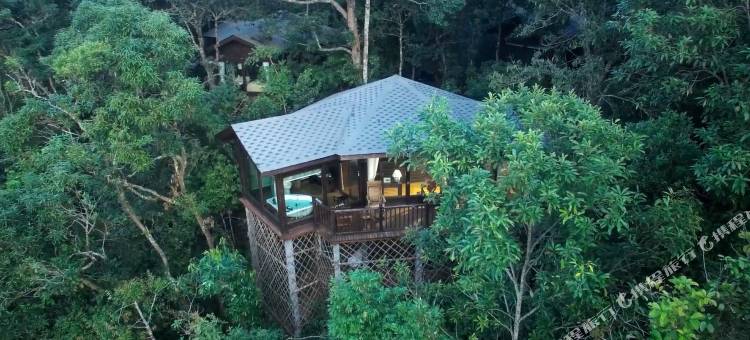 普洱小熊猫庄园图片