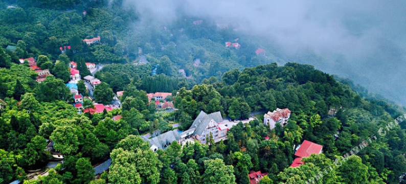莫干山枫鹃谷忘山别墅图片