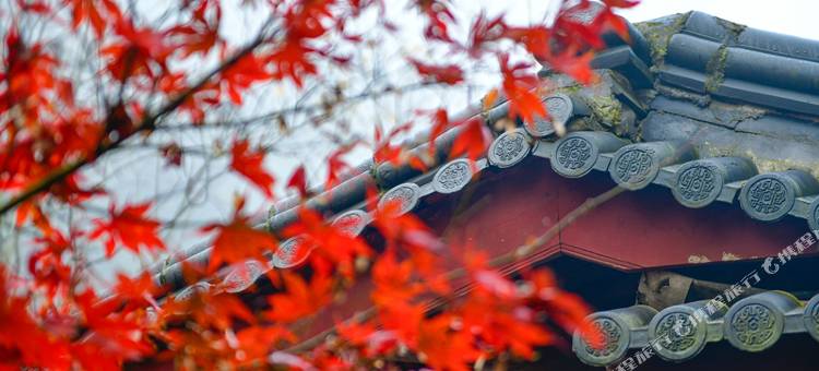 桐庐天子地森林康养度假酒店图片