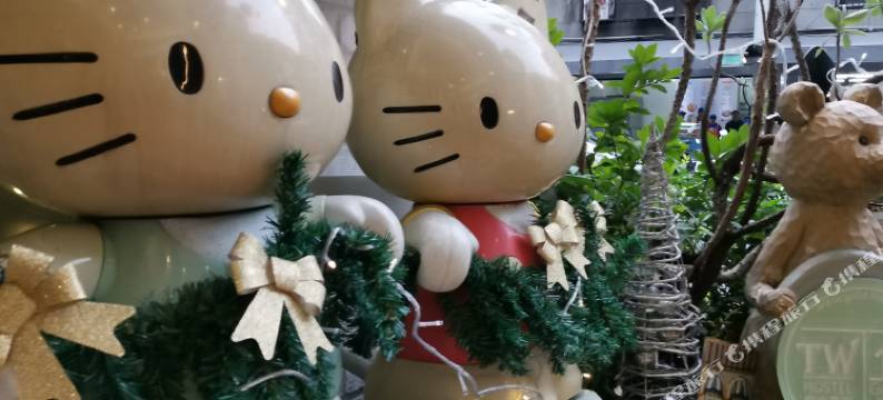 橙舍青旅(台北一馆)图片