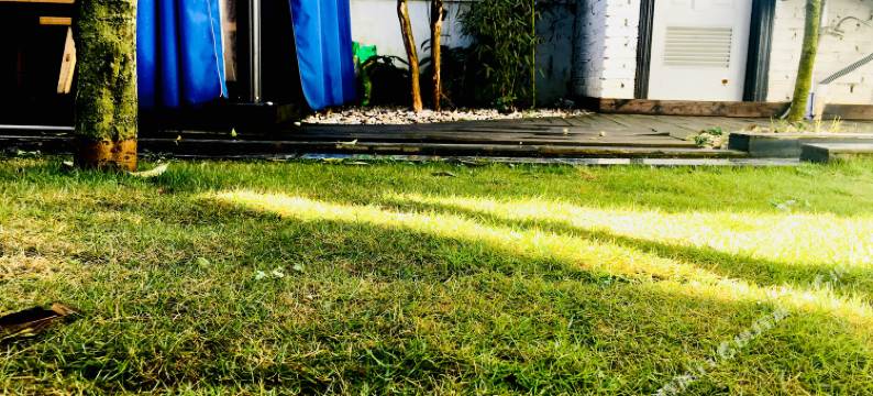 罗平97ROCK书店青年旅舍图片