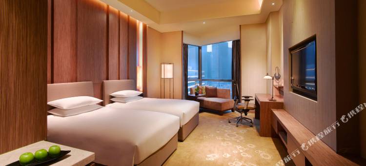 贵阳中天凯悦酒店图片