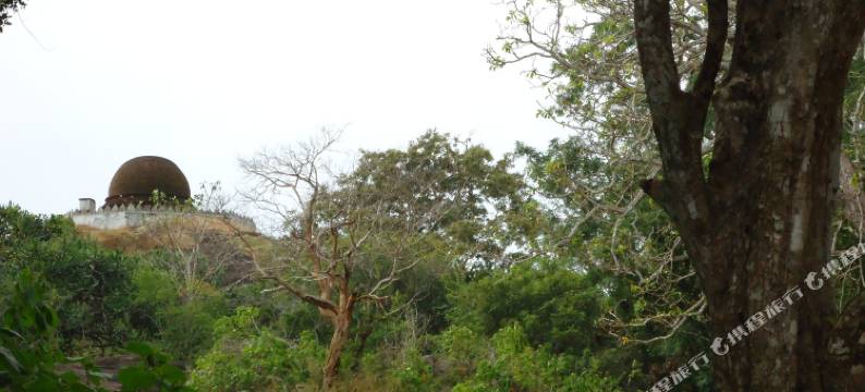 海纳自然度假村 - 生态度假屋和亚拉野生动物园(Heina Nature Resort & Yala Safari)图片