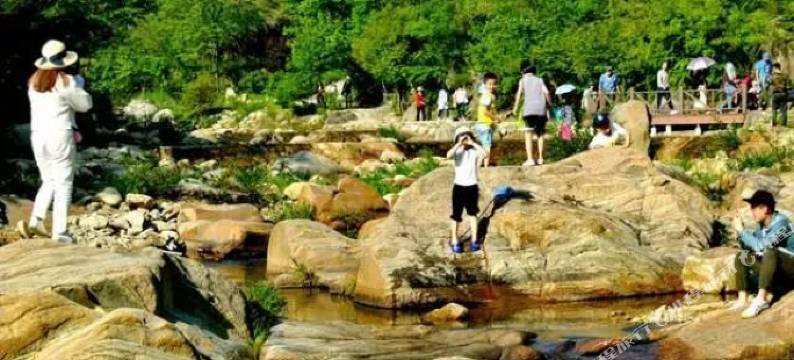 篷客露营地(武汉姚家山香溪谷店)图片