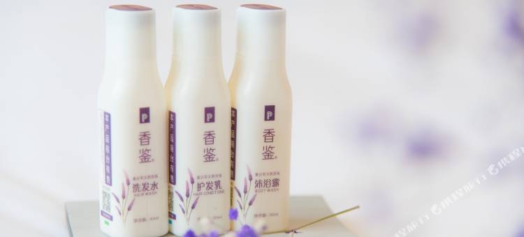 麗枫酒店(佛山里水永润广场浔峰岗北地铁站店)图片