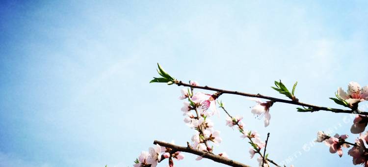 途窝假日酒店(鲁山温泉店)图片