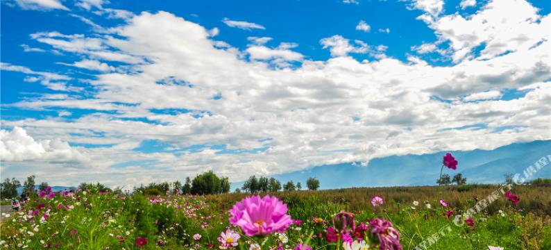 海韵居海景民宿图片