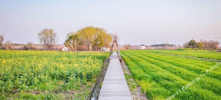 清锦煜·如院度假院落(昆山锦溪古镇店)图片