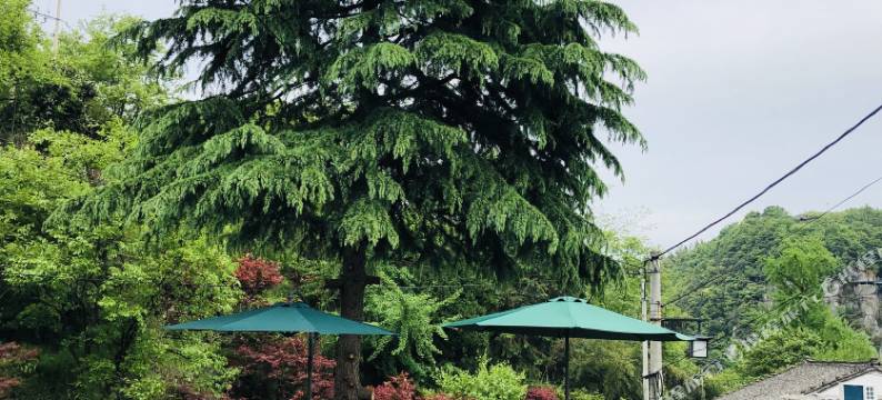 余姚醉仙楼饭店图片