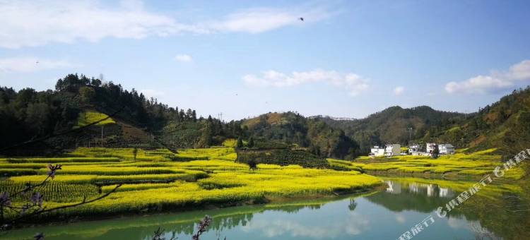 黄山隐居都市公寓图片