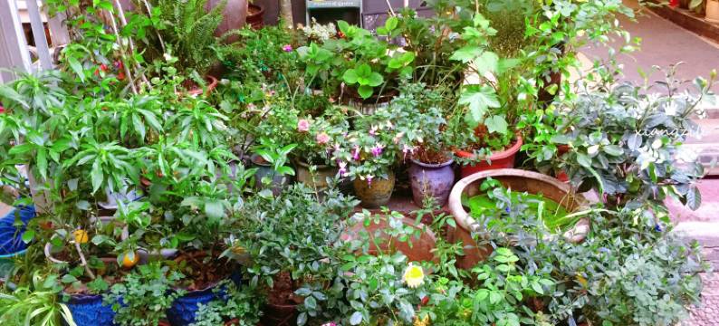 京山巷子里民宿图片