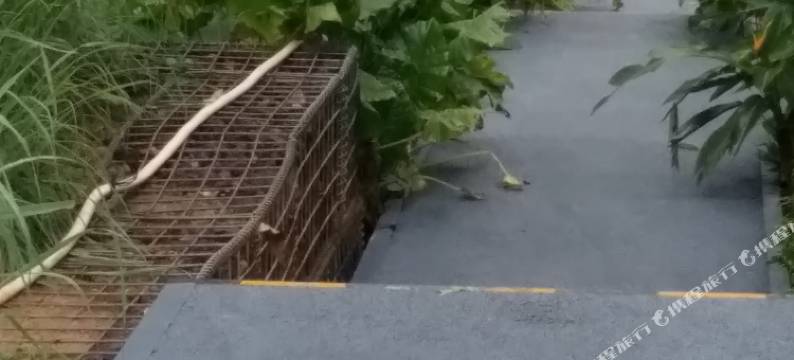 海口狒狒青年旅舍图片