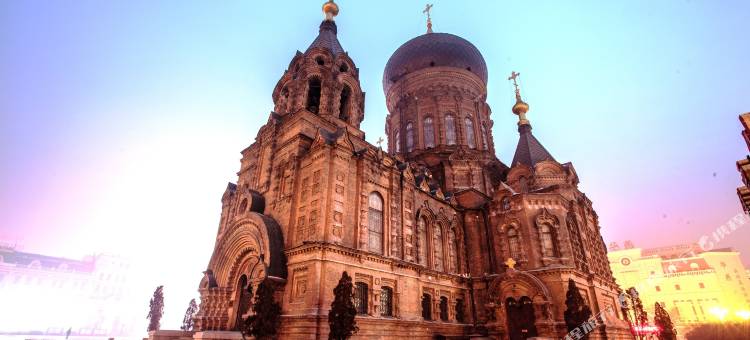 维也纳酒店(哈尔滨中央大街索菲亚店)图片