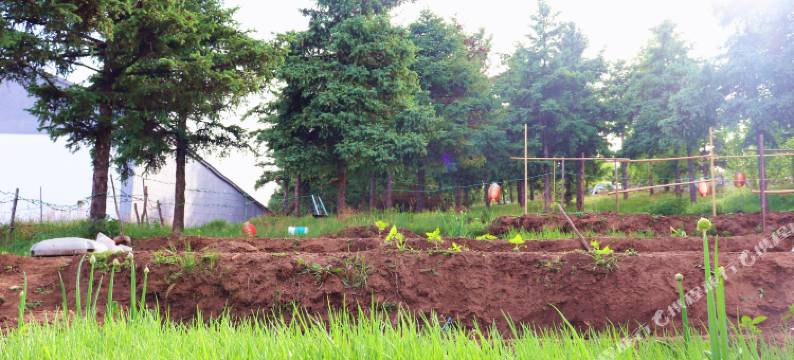 张北百顺农家乐图片