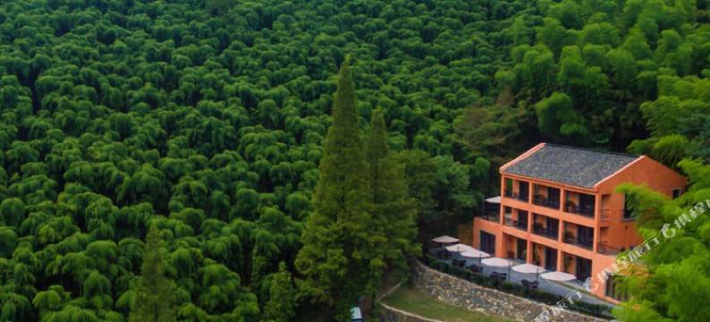 莫干山尚坡HotSpring温泉度假别墅图片