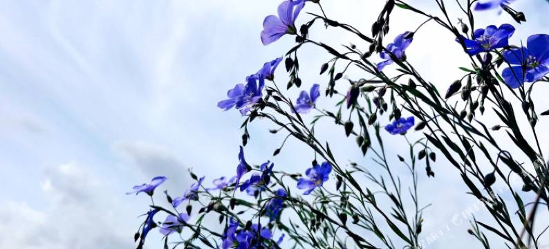 神农架刘二姐山庄图片