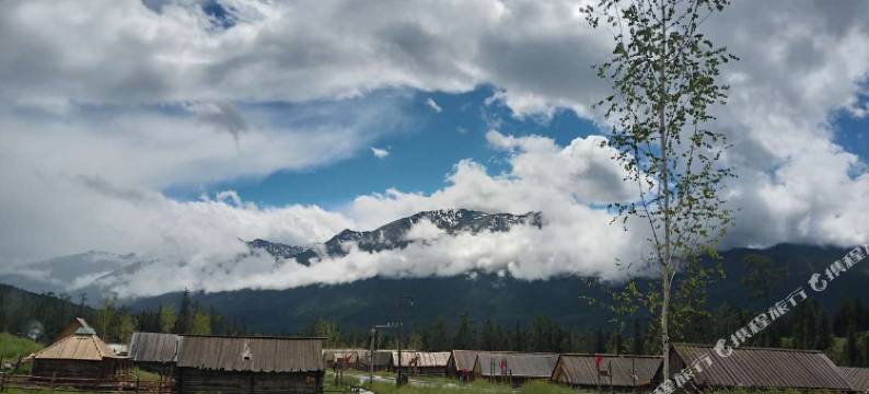 喀纳斯哈力山庄图片