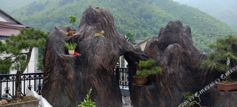 安吉招羊树民宿图片