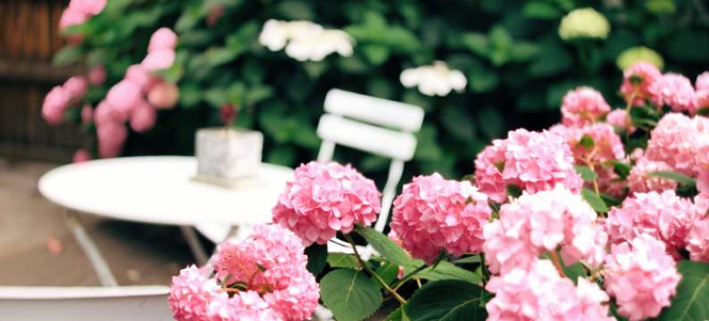 嵊泗行止民宿图片