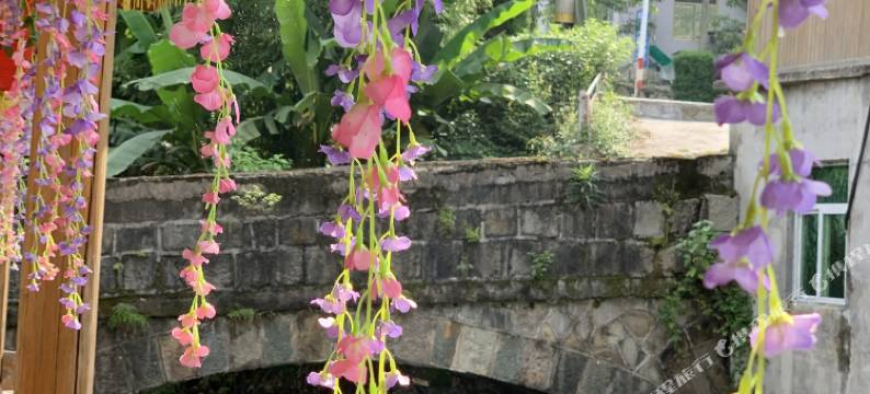 天目山林然民宿图片
