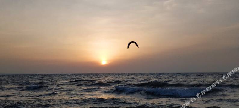 青海湖鸟岛牧人家帐房宾馆图片