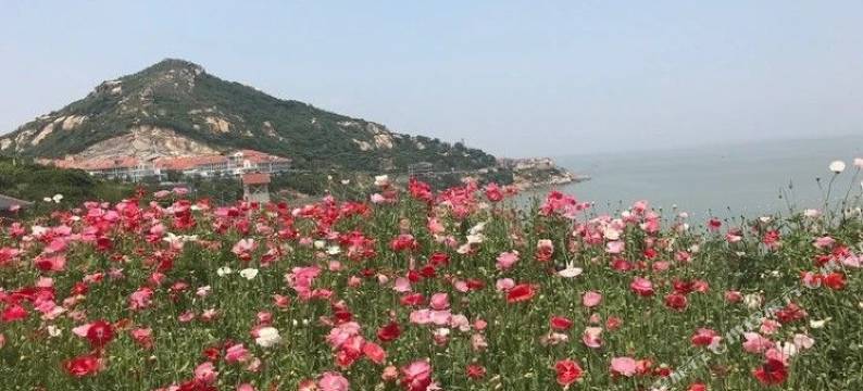 连云港海景沙滩酒店(连岛景区店)图片