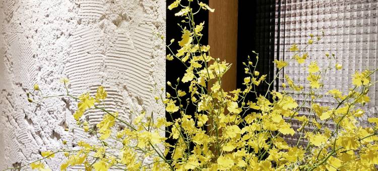 鸭家青年旅馆图片