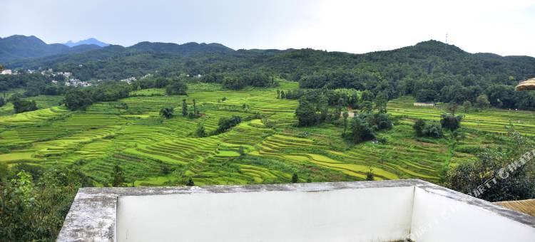 元阳稻梦蜗居客栈图片