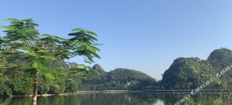 新裕华大酒店图片