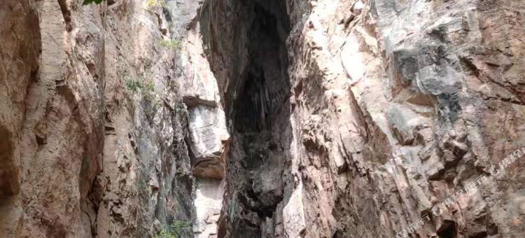 OYO淄博58微旅馆图片