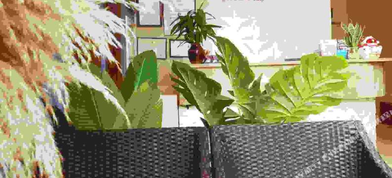 西昌颖熙花园酒店图片