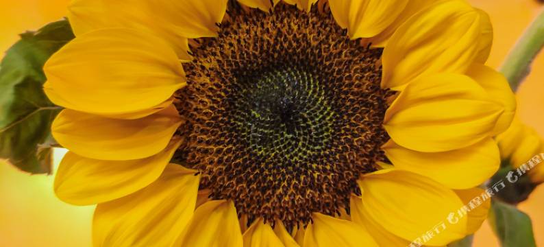 桂林买时空也用券青年旅舍图片