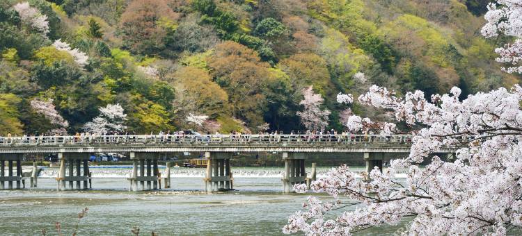 相铁FRESA INN 京都四条乌丸(Sotetsu Fresa Inn Kyoto-Shijokarasuma)图片
