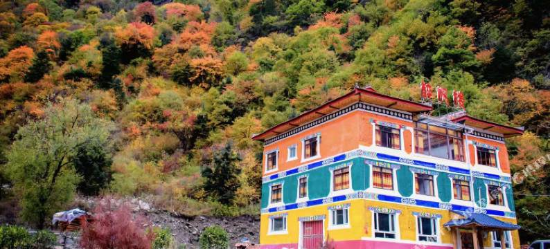 黑水醉枫楼民宿图片