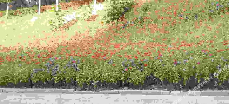 宜春秋水商务宾馆图片