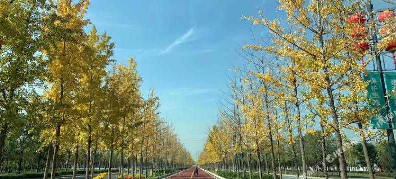 西安玉镜台温泉酒店图片