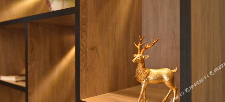 星程轻居酒店(开封鼓楼店)图片