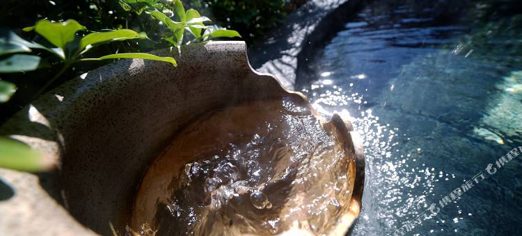 安顺梧桐温泉养生酒店(西秀区安顺西站店)图片