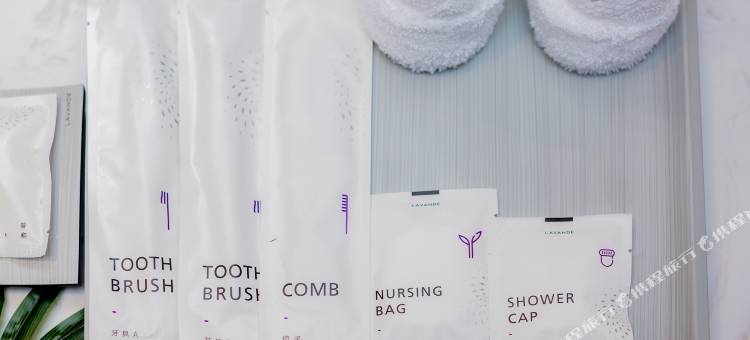 麗枫酒店(湖南广电中心马栏山地铁站店)图片