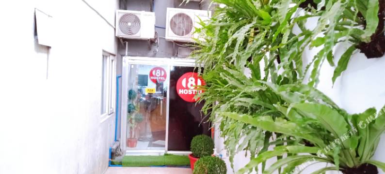 8青年旅馆(8Hostel)图片