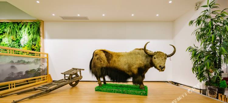 TOWO上品酒店(西安钟鼓楼桥梓口地铁站店)图片