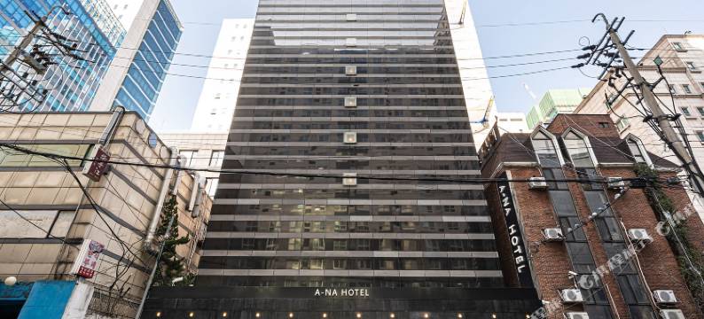 安娜酒店(Hotel Ana)图片
