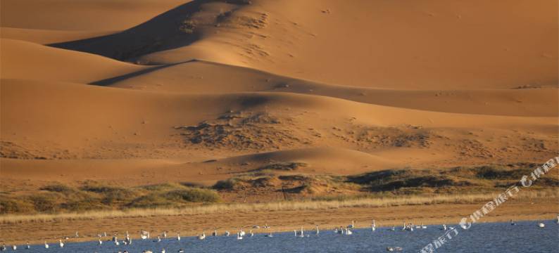 阿拉善左旗腾格里酒店图片