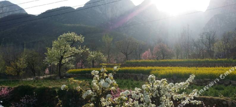 玖居养心小筑(登封少林寺店)图片