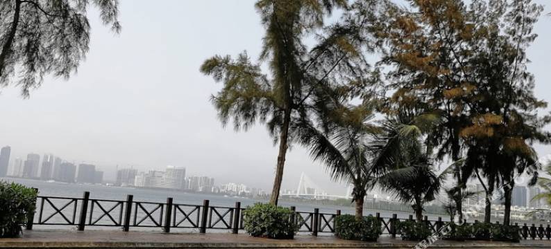 海口咪栖酒店(海口友谊阳光城店)图片