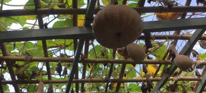 三江意和客栈图片