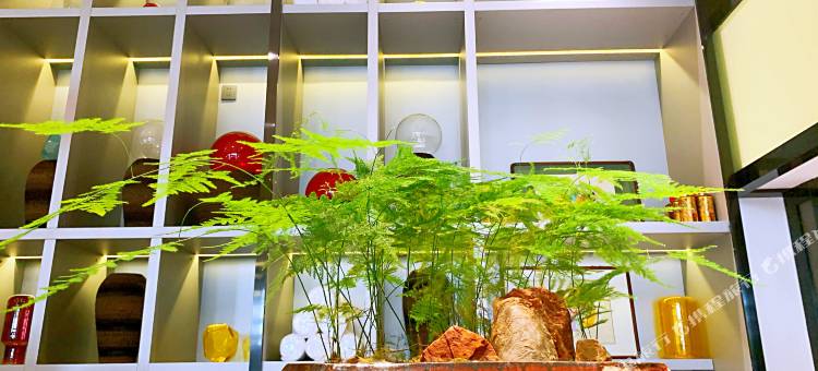 天津瀚金佰九号汤泉酒店图片