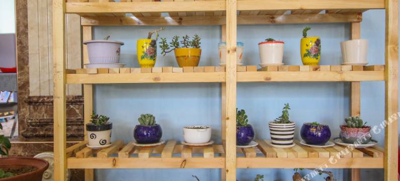 北戴河拂茵之家民宿图片