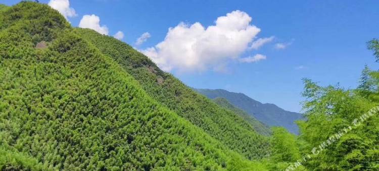 安吉岩朵山民宿图片