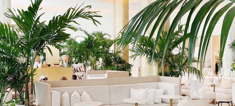 迈阿密海滩海滨艾迪逊酒店(The Miami Beach EDITION)图片